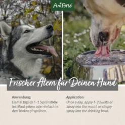 Aniforte Dentalspray Zahnpflege Spray 100ml -Hund Spielzeug Verkäufe 5407327dc1ff8b3c62918c78a261300c797ac1a5 1439278 de DE d65d8e1ebeada7690aae8d6a4c6fc70cb3dbb3e9igaN3s
