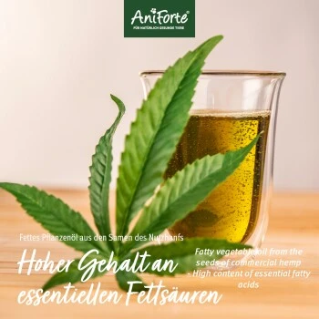Aniforte Bio Hanföl 500 Ml 3 Aniforte Bio Hanföl 500 Ml – Bild 3