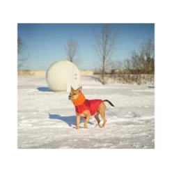 GF Pet Scout Jacke Rot XXS -Hund Spielzeug Verkäufe 5991967bf630a1f8d02726fdfd74663dc8e73701 0d63da1ea5654731f0cfde8666f379832b57508d