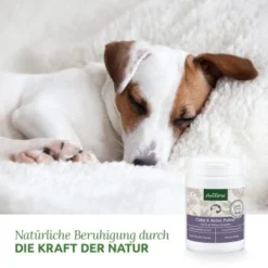 Aniforte Calm & Relax Kräuter 100g 6 Aniforte Calm & Relax Kräuter 100g -Hund Spielzeug Verkäufe 59d8edf488dbbfa5326d02c9bc480ebe764b40aa 1477975 de DE 8fdc0dbb13dd77bc918a019d832ea481c7670a35vrdXJ1