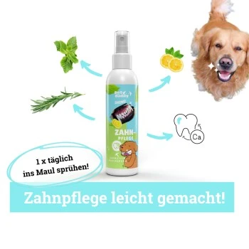 BeG Buddy Zahn Weiß Dental Spray, Zahnpflege & Maulhygiene Hund 2 BeG Buddy Zahn Weiß Dental Spray, Zahnpflege & Maulhygiene Hund – Bild 2