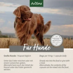 Aniforte Zecken Schild (10 Bis 35kg) Für Hunde 60 Kapseln -Hund Spielzeug Verkäufe 5d4c18b2293faf2e5564b5312e60cc2ae485fb29 1332832 de DE ffd45c07e5d1db9ca6ca2f6cb8b8fd03b27d87f7qF1J4e