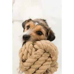 Trixie BE NORDIC Tau-Ball 18cm -Hund Spielzeug Verkäufe 5d869bc7db02b7e845c1175f2c29e4b87c83aa5e 1317741 de DE Trixie be nordic Tau Ball wb 3