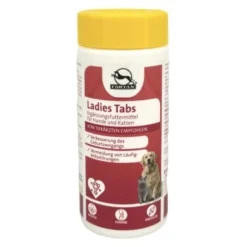 Fortan Ladies Tabs Mit Himbeerblätter-Extrakt 90 G