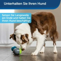 PetSafe Elektronisches Hundespielzeug Ricochet -Hund Spielzeug Verkäufe 5eadda9b8e1c472d17e8160a968897c5f1589a26 1418724 de DE f0080b3bce77c44349e2b70b9453ceaf44e2d3d6nqnVTG