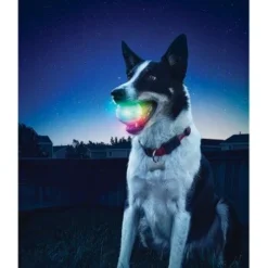 Nite-ize Nite Ize GlowStreak LED Ball 9 Nite-ize Nite Ize GlowStreak LED Ball -Hund Spielzeug Verkäufe 608322f1a703e3689310eb61023c076f794fcb42 74594ad17ce0b41da7e2f352b44358884023f71d