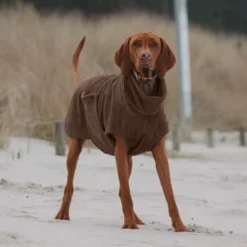 THE DOG IDEA Bademantel Every Braun XXXS -Hund Spielzeug Verkäufe 62c517832f7f923b83b0a0ee681a77b2e33cc3c3 1473036 de DE 2393ef51979dd0191b0261c826741cb7543b7b3brAaZfV