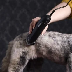 Moser Schermaschine Max 45 Inkl. ASK 8 Moser Schermaschine Max 45 Inkl. ASK -Hund Spielzeug Verkäufe 65133088ba136d425f35dd483b34ae61c5e8b1c4 080d5e15fa2a49473a689925f30b8711ef011135