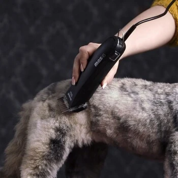 Moser Schermaschine Max 45 Inkl. ASK 3 Moser Schermaschine Max 45 Inkl. ASK – Bild 3