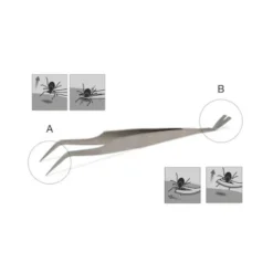 Lills Zeckenzange Aus Edelstahl -Hund Spielzeug Verkäufe 666f3a3fb181b232ac8339dfb19af759aa845978 1488086 de DE f0e508c7b7855d95e1b35fa6dabdb0d0ba4555f76ECWsn