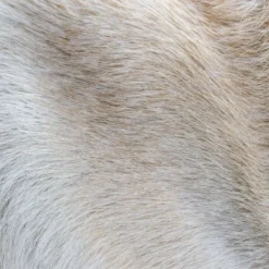 THE DOG IDEA Klassische Hundebürste Naturfibre -Hund Spielzeug Verkäufe 676bdeb1a8deaabc9fd3f5e57dee401f0e69a9f8 1485270 de DE eacaeb5bfae7cf6612554a6aa926d1cc6dfba5918XqumA