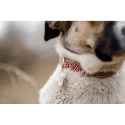 THE DOG IDEA Boho-Chic Halsband June S -Hund Spielzeug Verkäufe 6b516109463c2924668197da9f0abbda785422e5 1662735 de DE bc5b558a6c4ccb4f3e353a9bed3dea9003e5dd59PDkrLv