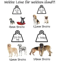 Bio-leine Biothane Führleine Verstellbar Magentarot 2 M 6 Bio-leine Biothane Führleine Verstellbar Magentarot 2 M -Hund Spielzeug Verkäufe 6be2a9ee5976af07004c065530884b280b8d3dbd 1665956 de DE 9e86c715e549a5f350fc133f6a3d246a11c429be3ccxgy