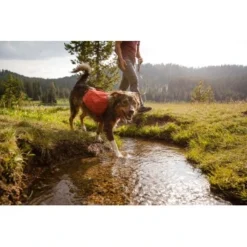 Ruffwear Front Range™ Hundetagesrucksack Rot XS -Hund Spielzeug Verkäufe 6fcda691161ff080a6f6075669f57b606bb5abbe 1639836 de DE 827ca11f058fc24bc21d1c4bb6cec8d9576cc1835E84NB