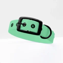 THE DOG IDEA Biothane Halsband Mint Schwarz XS