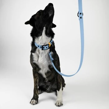THE DOG IDEA Biothane Hundeleine Hellblau 2 THE DOG IDEA Biothane Hundeleine Hellblau – Bild 2