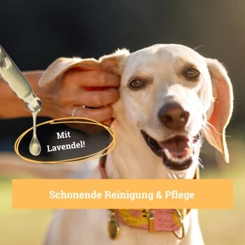 BeG Buddy Ohrreiniger Für Hunde, Juckreiz, Verschmutzung & Ohrmilben, Ohrenpflege Hund 5 BeG Buddy Ohrreiniger Für Hunde, Juckreiz, Verschmutzung & Ohrmilben, Ohrenpflege Hund – Bild 5