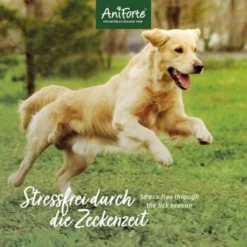 Aniforte Zecken Schild (10 Bis 35kg) Für Hunde 60 Kapseln -Hund Spielzeug Verkäufe 7c1f9419501c73304f8da74439e2793f1ac19534 1332832 de DE 6b0465714e7043aa512f07a2e3a3c8a3a07d4c02tI7JlQ