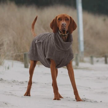 THE DOG IDEA Bademantel Every Taupe XXXS 3 THE DOG IDEA Bademantel Every Taupe XXXS – Bild 3