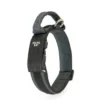 Julius K9 JULIUS-K9 Halsband Mit Griff 40mm Schwarz/ Grau