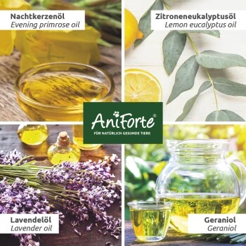 Aniforte Grasmilben-EX Spray Für Hunde 250ml 4 Aniforte Grasmilben-EX Spray Für Hunde 250ml – Bild 4