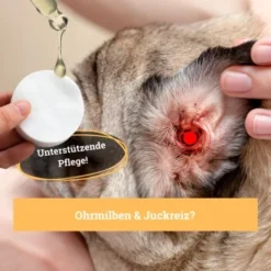 BeG Buddy Ohrreiniger Für Hunde, Juckreiz, Verschmutzung & Ohrmilben, Ohrenpflege Hund 8 BeG Buddy Ohrreiniger Für Hunde, Juckreiz, Verschmutzung & Ohrmilben, Ohrenpflege Hund -Hund Spielzeug Verkäufe 7e57ffedd36efe83c62c35bf2950e792a38dc962 1500787 de DE 4ccff8ce096d74f709ff92188adeaa6426f950e3pEPR1R