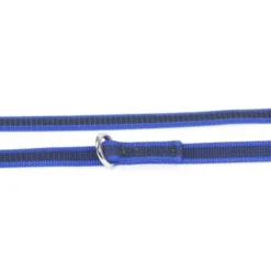 Julius K9 JULIUS-K9 Führleine Verstärkt 14mm Blau/ Grau 12 Julius K9 JULIUS-K9 Führleine Verstärkt 14mm Blau/ Grau -Hund Spielzeug Verkäufe 7f02e6fac7d3429f462d4f42ff91ec28a632cde3 1263547 de DE K9 9