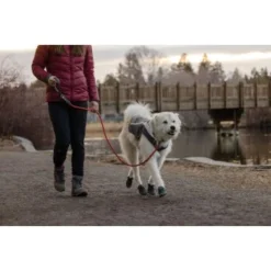 Ruffwear Just-a-Cinch™ Leine Rot 19 Ruffwear Just-a-Cinch™ Leine Rot -Hund Spielzeug Verkäufe 810d255f702c333fe767503a477f8deb0416cca1 1651622 de DE 84ea7394ca3be445f5b69f032bbb3135c9273b35awu41q