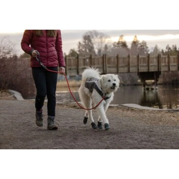 Ruffwear Just-a-Cinch™ Leine Rot 10 Ruffwear Just-a-Cinch™ Leine Rot – Bild 10