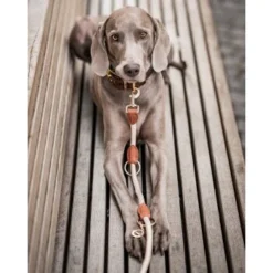 Freudentier Führleine 2m & 3-fach Verstellbar 10 Freudentier Führleine 2m & 3-fach Verstellbar -Hund Spielzeug Verkäufe 82c4c16600b55dad96f7e995c74cb66bd8f2d8b5 1496011 de DE 621b9f718972b0ac63a777999c0f3069752bf98d8ANo7T