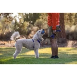 Ruffwear Turnup™ Spielzeug Violett 14 Ruffwear Turnup™ Spielzeug Violett -Hund Spielzeug Verkäufe 84fc2e8b9b0f9da024307e38b8124c6538b63d83 1639873 de DE b55d9e6a6e6394a819ce9bddcfc5e34ca488d9f6GUT2Rh