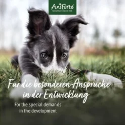Aniforte Junior Active 250 G 9 Aniforte Junior Active 250 G -Hund Spielzeug Verkäufe 85f14959766b1456ddfebecc96c0620d66b937f8 1422210 de DE 2b250799eeaa3b0c7abfb8ddb6b25faa05fec06cbuKE8w