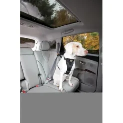 Kurgo Sicherheitsgeschirr XS -Hund Spielzeug Verkäufe 87813e7da78344d76194991149b2935972cb3fc9 9b7a4549d6992d8434083c74ff0b43057fd79273