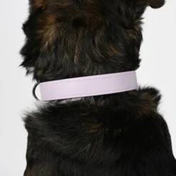 THE DOG IDEA Biothane Halsband Lavendel Violett S -Hund Spielzeug Verkäufe 8cf7ca8bca4e053ecd9a93c922b2a7b929ee1627 1487846 de DE 8cd6209f2c4ec6a65a42803cb59a801433fb7630ps8JLP