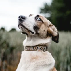 THE DOG IDEA Boho-Chic Halsband Mokka L 8 THE DOG IDEA Boho-Chic Halsband Mokka L -Hund Spielzeug Verkäufe 8f74ea3d739601b79e563fdb62f8ef3bc2feb824 1485274 de DE 46d925aa762dcb92971f56ec368f3d6e869ab635KGmVRv