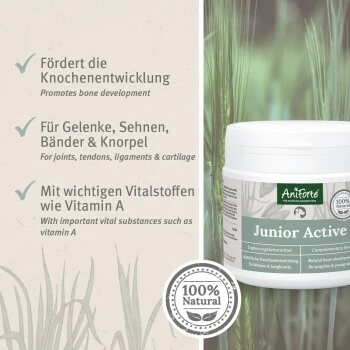 Aniforte Junior Active 250 G 5 Aniforte Junior Active 250 G – Bild 5
