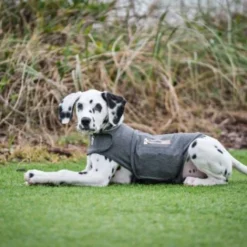 Thundershirt Beruhigungsweste Grau XS 17 Thundershirt Beruhigungsweste Grau XS -Hund Spielzeug Verkäufe 9b6b99fb9c0e02a64cc609b7ca852c71d17d0d84 1102942 2