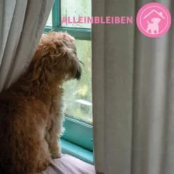 ADAPTIL Junior Halsband Anti Stress Erziehungshalsband 18 ADAPTIL Junior Halsband Anti Stress Erziehungshalsband -Hund Spielzeug Verkäufe 9bbf7e6f41f83b5fa8b29d667d967c1e0968de59 1287044 8