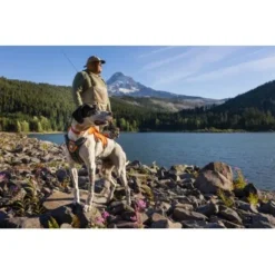 Ruffwear Front Range™ Halsband Rubin M -Hund Spielzeug Verkäufe 9d379602355f034ae9971211c6e6a3e5df163921 1651572 de DE 909910a450e598cc9a7c8e716806e7fc60aacb0dycwxLj