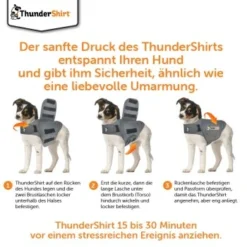 Thundershirt Beruhigungsweste Grau XS 15 Thundershirt Beruhigungsweste Grau XS -Hund Spielzeug Verkäufe 9ff088bccc5f7d02926fc2c1845a1030d5e07bc3 1102942 5