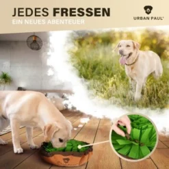 Hund Spielzeug Verkäufe -Hund Spielzeug Verkäufe a256c3cbd8e9b7b63a2da71c301fdf37972260d1 1477263 de DE c0f1fcbd305c34f6bea3ec72fd97835d2ff0af1cZLhL9a