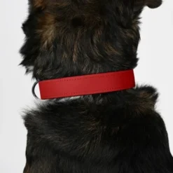 THE DOG IDEA Biothane Halsband Rot Pfirsich M 11 THE DOG IDEA Biothane Halsband Rot Pfirsich M -Hund Spielzeug Verkäufe a2dde414f560873d9c361bfaaab5aec51c9501ca 1487826 de DE a77155468a16a8a10a200f7ad5291af908014afbPYRziU