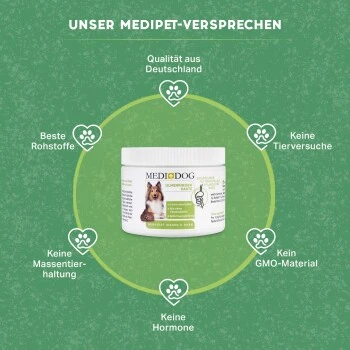 MediDog Ulmenrinde Paste 3 MediDog Ulmenrinde Paste – Bild 3