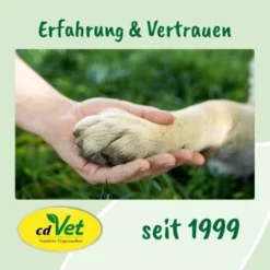 DentaVet Gel 25ml -Hund Spielzeug Verkäufe a3f0f225424e36ead3f58163a43f1ebde29b0acd 1667843 de DE f215127866d604991b4efc218004018ddf447095y5Ccte