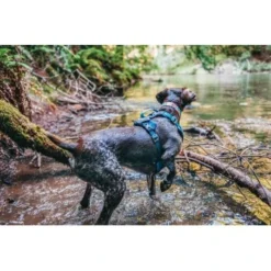 Kurgo Journey Air Hundegeschirr Blau/ Grau L 11 Kurgo Journey Air Hundegeschirr Blau/ Grau L -Hund Spielzeug Verkäufe a4350be6a2cf19b9d7aaa9c1b93505a674fae49c 1353742 de DE d9d61dbeff29f339bbfc0a1de7ebbca10df26980OCBtYH