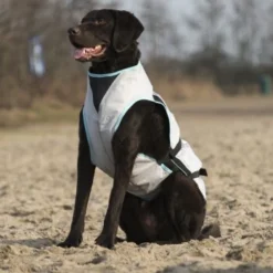 Trovet Suitical Kühlweste Dry Cool M -Hund Spielzeug Verkäufe a537a563392d7a6c2ebde28fc7a5383b7991a959 1321386 de DE Trovet suitical 4 Kopie