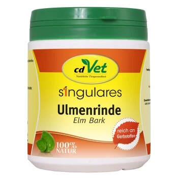 Singulares Ulmenrinde (europäisch) 1 Singulares Ulmenrinde (europäisch)