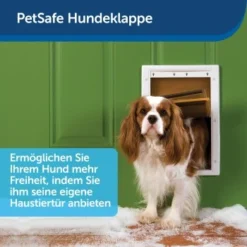 PetSafe Haustierklappe Für Extremes Wetter S -Hund Spielzeug Verkäufe a6418c2f84c3e14467d7c91992b367da97c80c68 1279434 de DE fb7da59b7a5bf84ad58e13f5dc3d9cc04f4fa864u7H7aK