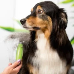 Moser Unterwollrechen -Hund Spielzeug Verkäufe a9457afef8cc9854b1cc05428060e6aca1aa62d7 f209ef3f70da272484eca7394d5156f09925de7d