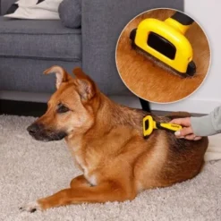 Lionto Haustierbürste, Zupfbürste 11 Lionto Haustierbürste, Zupfbürste -Hund Spielzeug Verkäufe a99a14a7250fd4e501ec529126934f0a8e973480 1665908 de DE 47ac745e0253c5bc3fba7e69b1681c237a8f3a97orElkU